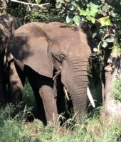 Thumbnail for the listing's main image