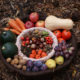 PLANT-BASED FALL BOUNTY DINNER - November 9,  2019