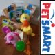 PETSMART BASKET of TREATS, TOYS & MORE