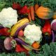 20 LB ORGANIC VEGETABLE BASKET