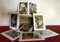 Thumbnail for the listing's main image