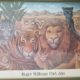 BIG CATS