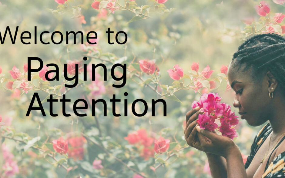 sm_2026-03-01_fb_welcome